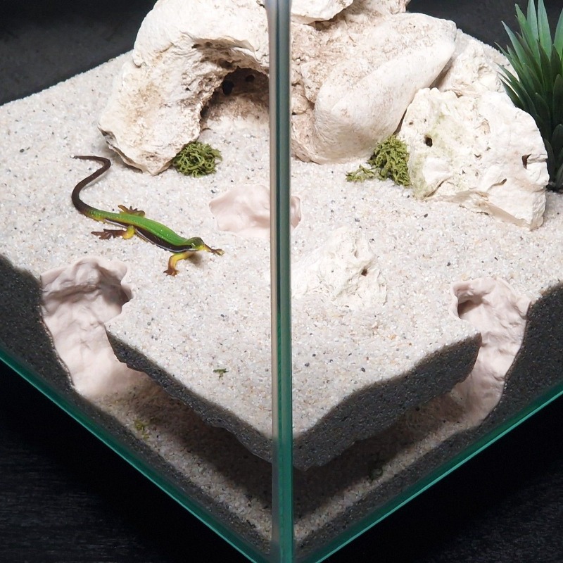 نفق حوض أسماك مطبوع ثلاثي الأب - مراجعة 3D Printing Lizard وسعره
