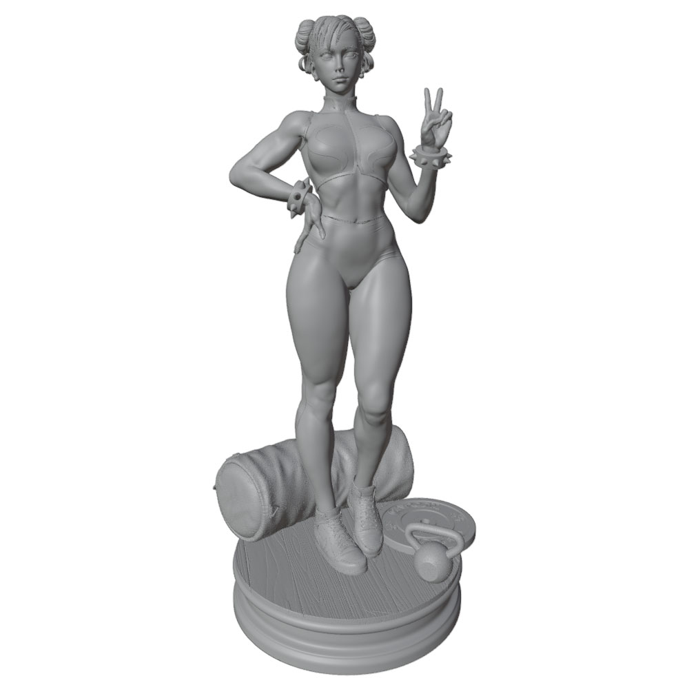 مجسمات فتيات مثيرة من الراتنج  - مراجعة 3D Printing For Dummies وسعره