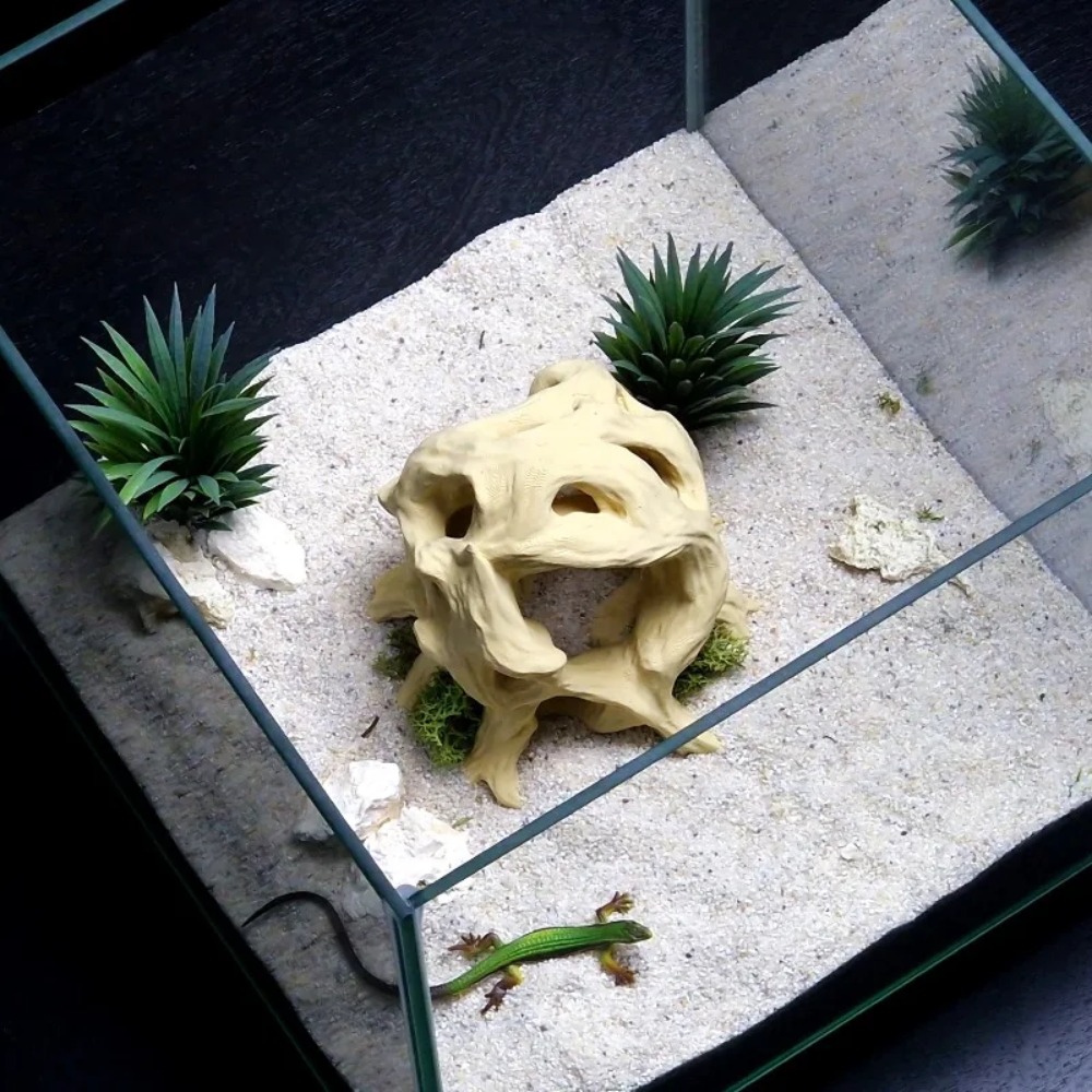 غطاء ثلاثي الأبعاد مطبوع على ش - مراجعة 3D Printing Lizard وسعره